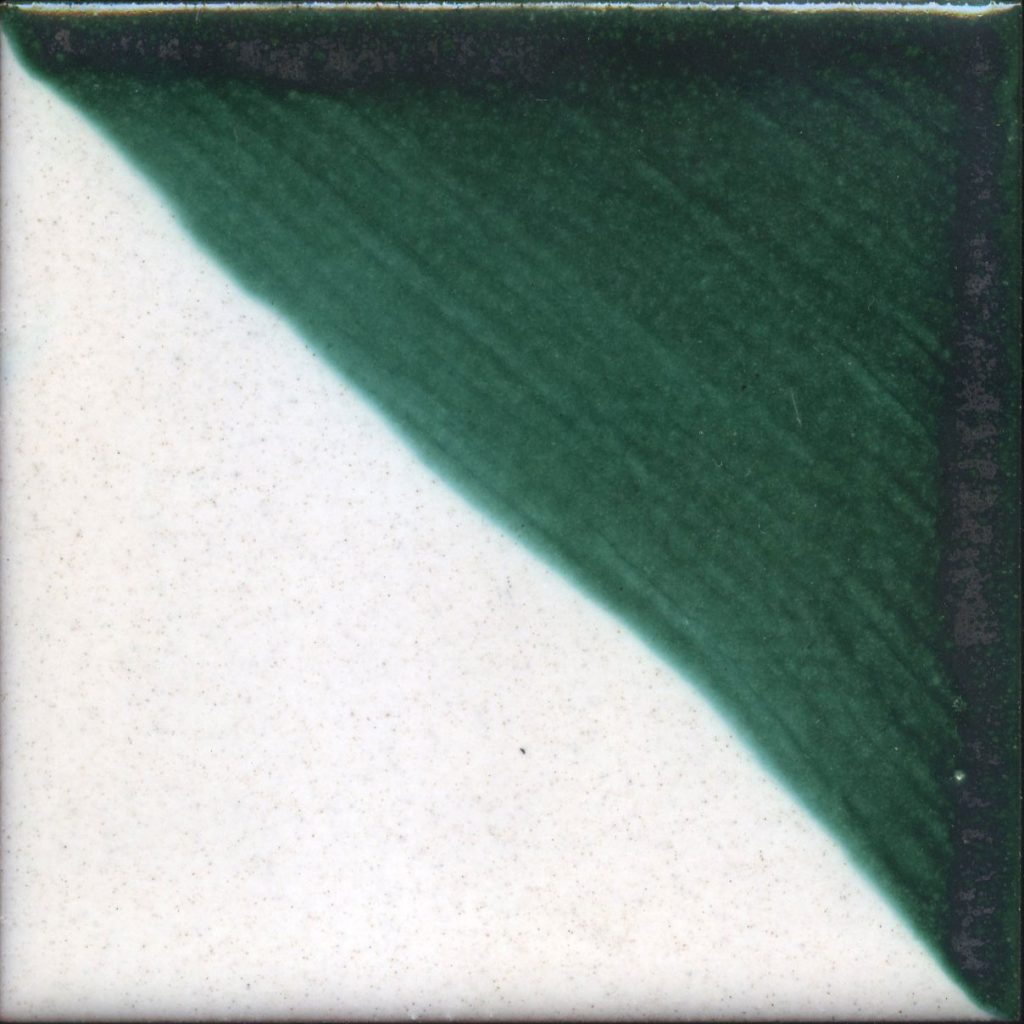 TGAN 51